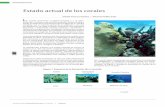 Estado actual de los corales · Dentro de la clase Zoantharia se ubica el orden Scleractinia o Madreporaria, representado por las estructuras más espec-taculares de los arrecifes