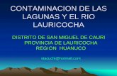 CONTAMINACION DE LAS LAGUNAS Y EL RIO LAURICOCHA · ¾la planta concentradora vierte sus residuos liquidos directamente a la laguna de caballococha. envases de reactivos químicos