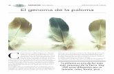 DILGACIN Juan Espinosa C Ces El genoma de la paloma genoma de la paloma.pdf · asistente de biología en la Universidad de Utah (EEUU). Los investigadores han secuenciado el código