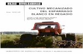 CULTIVO MECANIZADO DEL ESPARRAGO · 2006-10-25 · SEMILLEROS DE ESPARRAGOS Existen fundamentalmente dos métodos para la implantación de un cultivo de espárragos: - Siembra directa