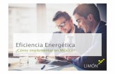 ¿Cómo implementar en México? · 2017-09-15 · Nohay capital disponible No hay cultura de ahorro. Limón GmbH | 15.09.2017| 9 ¿Cómo implementar eficiencia energética? ... t