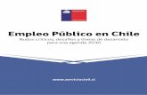 Nota: El uso de un lenguaje que no discrimine ni marque ...ºblico-en-Chile...Desde su creación en el año 2003 a través de la ley Nº19.882 conocida como ley del Nuevo Trato Laboral,