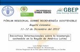 FÓRUM REGIONAL SOBRE BIOENERGÍA SOSTENIBLE Bogotá … · y oportunidades para el desarrollo de la Bioenergía sustentable. El desarrollo de los biocombustibles, dentro de la cadena