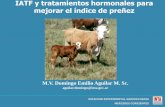 IATF y tratamientos hormonales para mejorar el índice de preñez · 2016-10-07 · Adaptado de IRAC-BIOGEN 2004 PORCENTAJE DE PREÑEZ EN FUNCION DEL ESTADO FISIOLOGICO DE LOS ANIMALES.