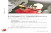 Introducción General al Granallado - CyM Materiales S.Acym.com.ar/intranet/Introduccion-general-proceso... · 2017-03-16 · tunel de granallado granalladora de gancho continua turbinas