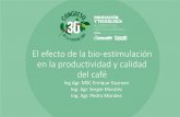 El efecto de la bio-estimulación en la productividad …...El efecto de la bio-estimulación en la productividad y calidad del café Ing Agr. MSC Enrique Guzman Ing. Agr. Sergio Morales
