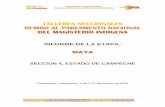 INFORME DE LA ETAPA: MAYAoptisnte.mx/wp-content/uploads/2014/06/Informe-Campeche1.pdf · de Enfermería y se desempeñan varios años en las brigadas comunitarias. En 1980, en Valladolid,