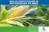 Guia de identificación de deficiencias en maízstoller.com.ar/wp-content/uploads/2017/07/Deficiencia-Maiz.pdf · Reducción del porte y área foliar. Hojas cloró-ticas con manchas