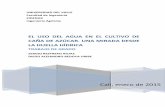 EL USO DEL AGUA EN EL CULTIVO DE CAÑA DE AZÚCAR. UNA …bibliotecadigital.univalle.edu.co/bitstream/10893/13091/... · 2019-04-25 · método de la huella hídrica para estimar