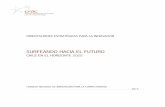 SURFEANDO HACIA EL FUTUROctie.economia.cl/wp-content/uploads/2017/07/Surfeando...Orientaciones Estratégicas para la Innovación: Chile en el Horizonte 2025 / 5 El CNIC agradece a