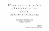 PROTECCIÓN JURÍDICA DEL SOFTWARE - Auditoría …...4 1. Aspectos legales de la Protección Jurídica del Software 1.0. Introducción Antes de comenzar a hablar de las leyes en lo