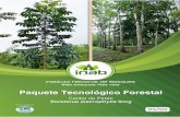 Publicación del Instituto Nacional de Bosques (INAB) CAOBA DE... · 2020-01-17 · iii 1. Presentación El Instituto Nacional de Bosques –INAB- es el órgano de dirección y autoridad