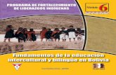 (c) PROEIB Andes PROGRAMA DE FORTALECIMIENTO DE …Liderazgos Indígenas, en respuesta a las demandas educativas de los pueblos originarios y con el propósito de fortalecer los liderazgos