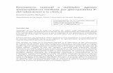 Resistencia tumoral a múltiples agentes antineoplásicos mediada …dadun.unav.edu/bitstream/10171/28272/1/Med_clínica_1994... · 2013-04-13 · Resistencia tumoral a múltiples