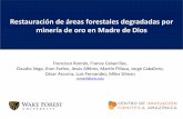 Metodologías para la recuperación de áreas degradadas por … · 2018-12-04 · Restauración de áreas forestales degradadas por minería de oro en Madre de Dios Francisco Román,