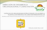 DIRECCIÓN DE DESARROLLO ORGANIZACIONAL Y CAPACITACIÓNtonala.gob.mx/portal/wp-content/uploads/2018/02/Organi... · 2018-02-28 · social de la c.s.p.t. camarÓgrafo b asesor coordinaciÓn