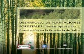 DESARROLLO DE PLANTACIONES FORESTALES Tierras aptas 2014-12-29آ  DESARROLLO DE PLANTACIONES FORESTALES
