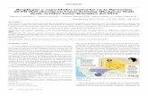 Despliegue y capacidades sanitarias en la Operación EUTM ...scielo.isciii.es/pdf/sm/v73n3/1887-8571-sm-73-03-00178.pdf(quimioprofilaxis contra la malaria), revisión de cartillas