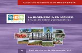 Situación actual y perspectivasrbb/ERyS2013-1/Biomasa/La-bioenergia-en-Mexico.pdf · La bioenergía en México: un catalizador del desarrollo sustentable, publicado en el año 2006.En