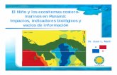 El Niño y los ecositemas costero- marinos en Panamá: Impactos, … · 2017-02-24 · El Niño y su impacto en las aves marinas El anidamiento del cormorán del 1 Más de 2,6000