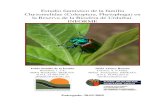 Catálogo preliminar de los Chrysomelidae (Coleoptera ...crisomelidosibericos.com/bibliografia/documentos_pdf/documento57,5.pdf · presentes en la Reserva de la Biosfera de Urdaibai.