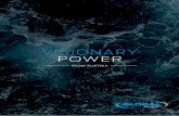 VISIONARY POWER - Global Hydro Energy...inter-generacional de la familia Frizberg por la energía hidroeléctrica y la experiencia de GLOBAL Hydro a lo largo de muchas décadas se