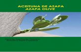 ACEITUNA DE AZAPA AZAPA OLIVE - UTAsb.uta.cl/libros/39298 Libro_Aceitunas de Azapa.pdfAceituna de Azapa / Azapa Olive 1 PRESENTACIÓN La Región de Arica y Parinacota, es un espacio