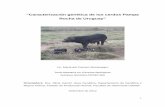 “Caracterización genética de los cerdos Pampa Rocha de ... · 1.1 Origen y Domesticación del cerdo 9 1.2 Introducción del cerdo en América 12 1.3 Introducción del cerdo en