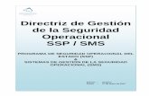 Directriz de Gestión de la Seguridad Operacional SSP / SMS2009, el grupo de trabajo de Seguridad de Operacional del Estado establecido por la Dirección General de Aviación Civil