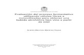 Evaluación del proceso fermentativo utilizando células ...bdigital.unal.edu.co/54884/7/AndrésMauricioMartínezHoyos.2016.pdf · fisicoquímicas y sensoriales en la producción