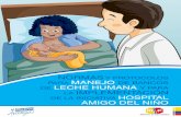 NORMAS MANEJO LECHE HUMANA IMPLEMENTACIÓN … · 2019-07-06 · En el año 2005, en la Carta de Brasilia (Representantes de Ministerios de Salud, UNICEF, OPS, IBFAN, World 10. El