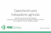 Capacitación para trabajadores agrícolascitrusagents.ifas.ufl.edu/wps/pdf/new/PERC-WPS-training-workers-Spanish.pdf · Capacitación para la seguridad de lo. s trabajadores agrícolas