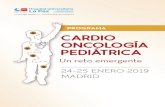 PROGRAMA - Asociación Española de Pediatría · PROGRAMA 2 PÚBLICO AL QUE VA DIRIGIDO: • Profesionales sanitarios especializados en cardiología pediátrica, hematología infantil
