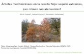 Árboles mediterráneos en la cuerda floja: sequías extremas, ¿un …digital.csic.es/bitstream/10261/147395/12/Forner Sales.pdf · 2019-08-08 · Árboles mediterráneos en la cuerda
