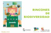 Presentación de PowerPoint Rincones de biodiversidad.pdf · opciÓn 3. se forma un comitÉ de biodiversidad con representantes de cada clase y nivel educativo que son los que participan