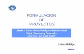 Formulacion de Proyectos - DISASTER infodisaster-info.net/lideres/spanish/peru2007/presentaci...continuando con la construcción del árbol en las ramas. • Al terminar el tiempo