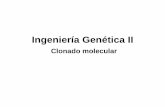Ingeniería Genética IIig2.blog.unq.edu.ar/wp-content/uploads/sites/63/2019/08/Unidad-1_parte-1.pdf4) Resuspender las bacterias en 200 ul de Solución I (Glucosa 50 mM, Tris-HCl 25