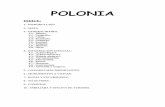 Polonia - EDUCARMservicios.educarm.es/templates/portal/ficheros/websDinamicas/138/polonia.pdf · por ejemplo, objetos antiguos y substancias peligrosas. Se exige también un permiso