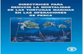 Cubierta: de Emanuela D’Antoni. · 2011-08-04 · Las tortugas marinas son afectadas por una gama de diferentes factores, algunos naturales y otros causados por las actividades