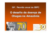 O desafio da doença de Chagas na Amazôniaiah.iec.pa.gov.br/iah/fulltext/eventos/palestras/2007/sbpc/aynpinto.pdf · O desafio da doença de Chagas na Amazônia O desafio da doença