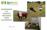 AGROBANCO Y EL CREDITO PECUARIO PARA CAJAMARCA · Transformación artesanal en granja, de los productos pecuarios ... Fortalecer y consolidar el proceso de producción -SENASA: capacitación