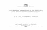 JUAN CARLOS MARTÍNEZ ROMEROnezRomero.2011_pte._1.pdf · afis (análisis de falla, integridad y superficies) universidad nacional de colombia ... 3.3 fractografÍa, metalografÍa,