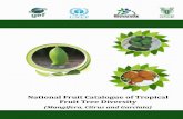 National fruit catalogue of tropical fruit tree diversity ... · details of the Custodian Farmers (CF) has been documented in the form of a catalogue entitled National Fruit Catalogue
