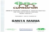 SANTA MARIA 94/pd 47-94-1d rev 3 (I) s.pdf · Figura 1: Muestra botanica y corteza de santa maria (Calophyllum brasiliense) CARACTERISTICAS MACROSCOPICAS ... ataque de taladradores