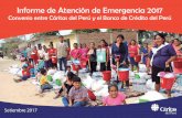 Informe de Atención de Emergencia 2017 · a fin de canalizar dicha ayuda para la emergencia, a través del Proyecto “Atención de Emergencia 2017 ... avena granos de oro x 170