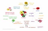 flores flores de silvestres jardín PARTES DE TIPOS DE ...doctorpazvarela.es/wp-content/uploads/2019/11/LAS-FLORES.-Andjela-Delic.pdf · crisantemo geranio girasol jazmín lila lirio