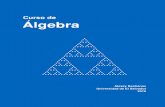 Curso de Álgebracadadr.org/san-salvador/algebra/2018/salvador-algebra...Considero conveniente explicar los prerrequisitos asumidos. Actualmente en San Salva-dor álgebra es una materia