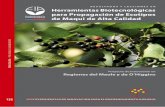 FRUTALES MENORES · 2019-12-21 · RESULTADOS Y LECCIONES EN Herramientas Biotecnológicas para Propagación de Ecotipos de Maqui de Alta Calidad Proyecto de Innovación en Regiones