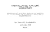 CURSO PRECONGRESO DE Afiles.sld.cu/scap/files/2019/11/Curso-precongreso... · LCR 0 - 15 (hipodenso) Sustancia Blanca 20 a 30 (isodenso) Sustancia gris 35 a 45 (isodenso) ... El ependimoma