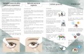 Cuidado de ojoshospitaldelaluz.org/wp-content/uploads/2018/07/Cuidado-de-ojos.pdf•Tome el párpado inferior por debajo de las pestañas y deslícelo suavemente para formar un fondo